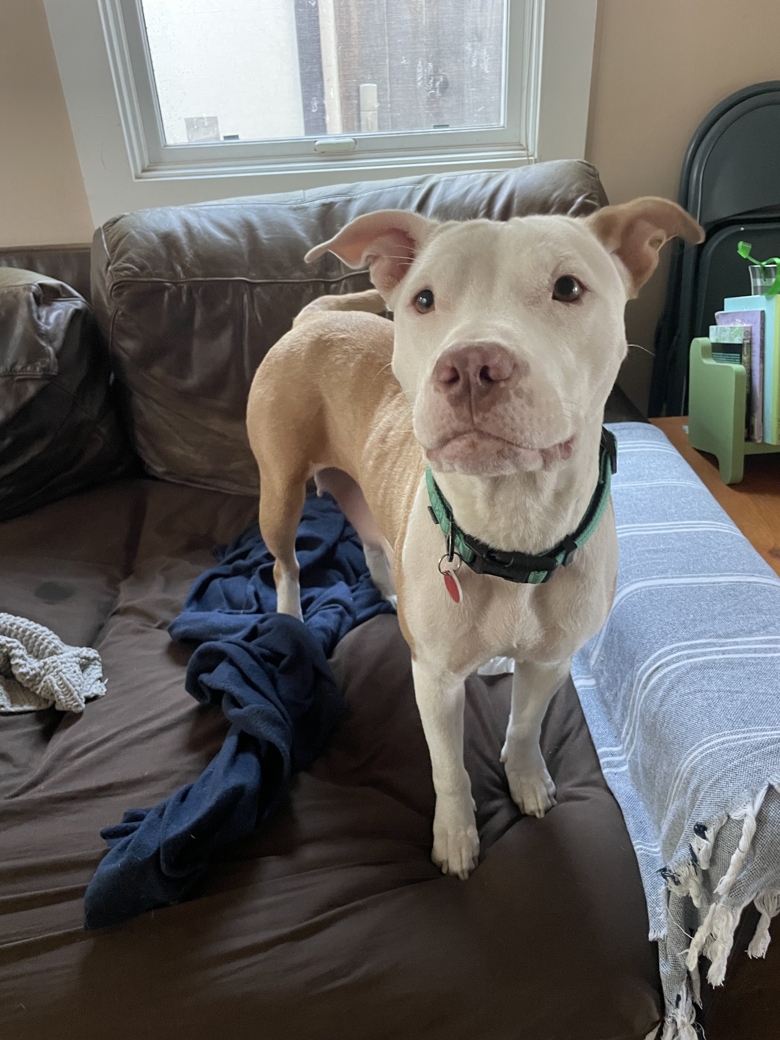 Photo Jan 10 2026, 8 22 37 AM.jpg