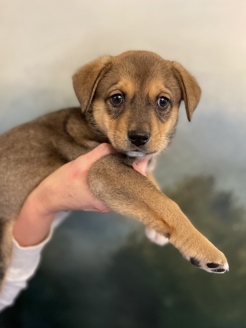 Screenshot 2026-03-05 at 6.13.37 PM.png