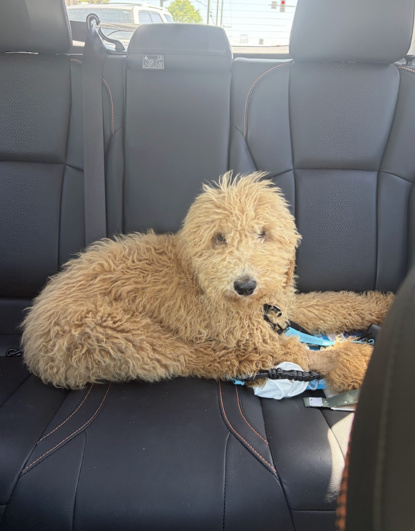 Screenshot 2026-04-27 at 1.12.40 PM.png