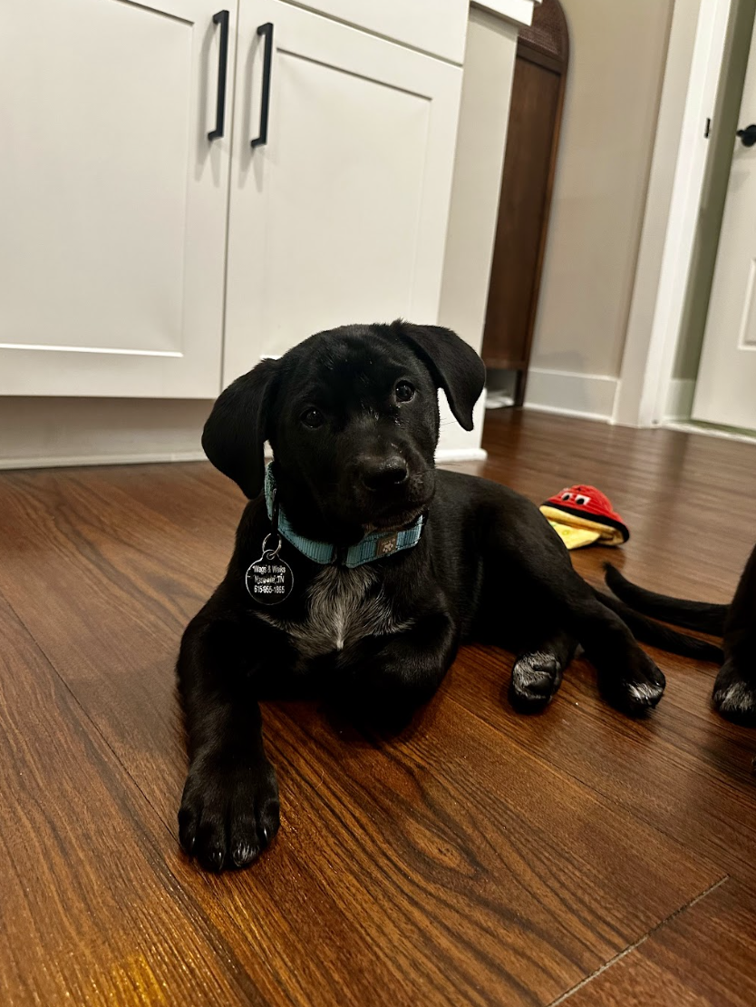 Screenshot 2026-02-13 at 4.48.52 PM.png