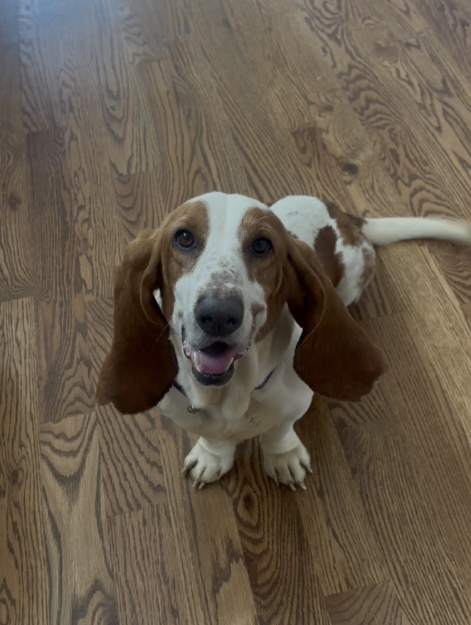 Screenshot 2026-04-13 at 3.22.14 PM.png