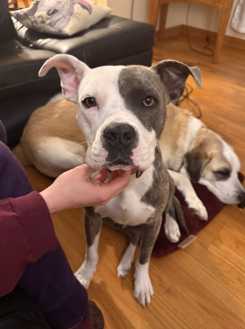 Screenshot 2026-03-27 at 4.47.42 PM.png