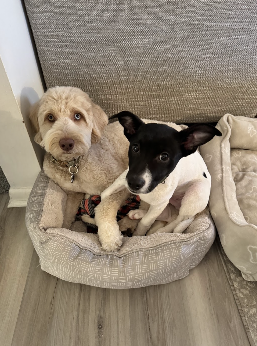 Screenshot 2026-01-14 at 1.23.51 PM.png