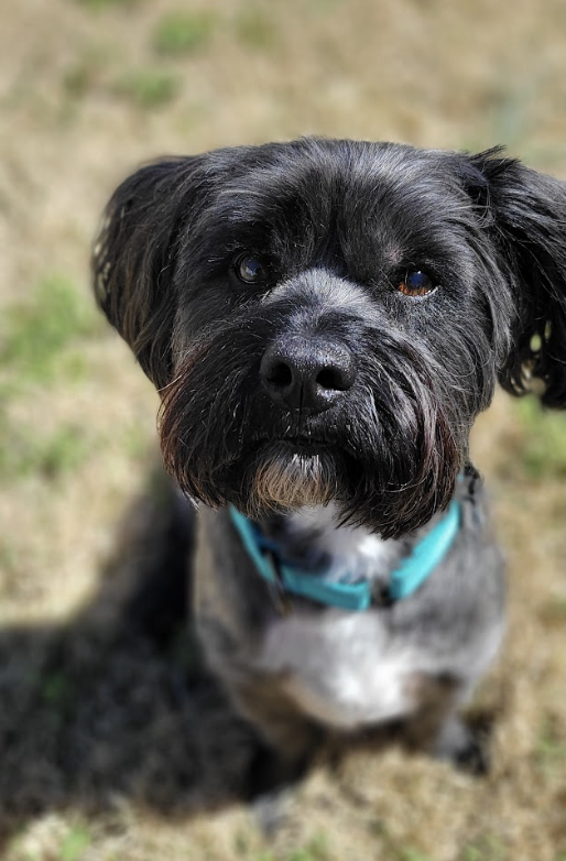 Screenshot 2026-03-17 at 5.05.37 PM.png