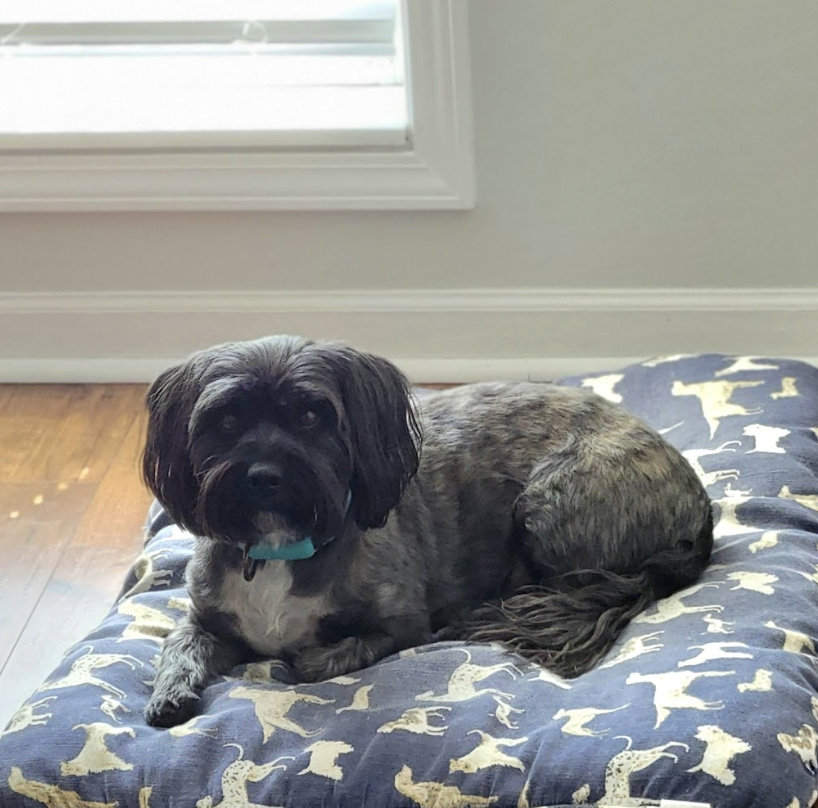 Screenshot 2026-03-17 at 5.05.43 PM.png