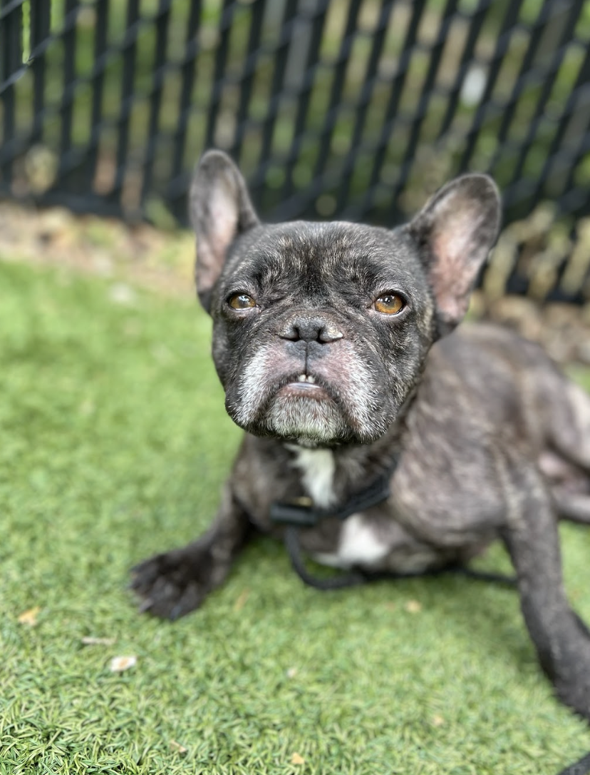 Screenshot 2026-04-20 at 2.51.10 PM.png