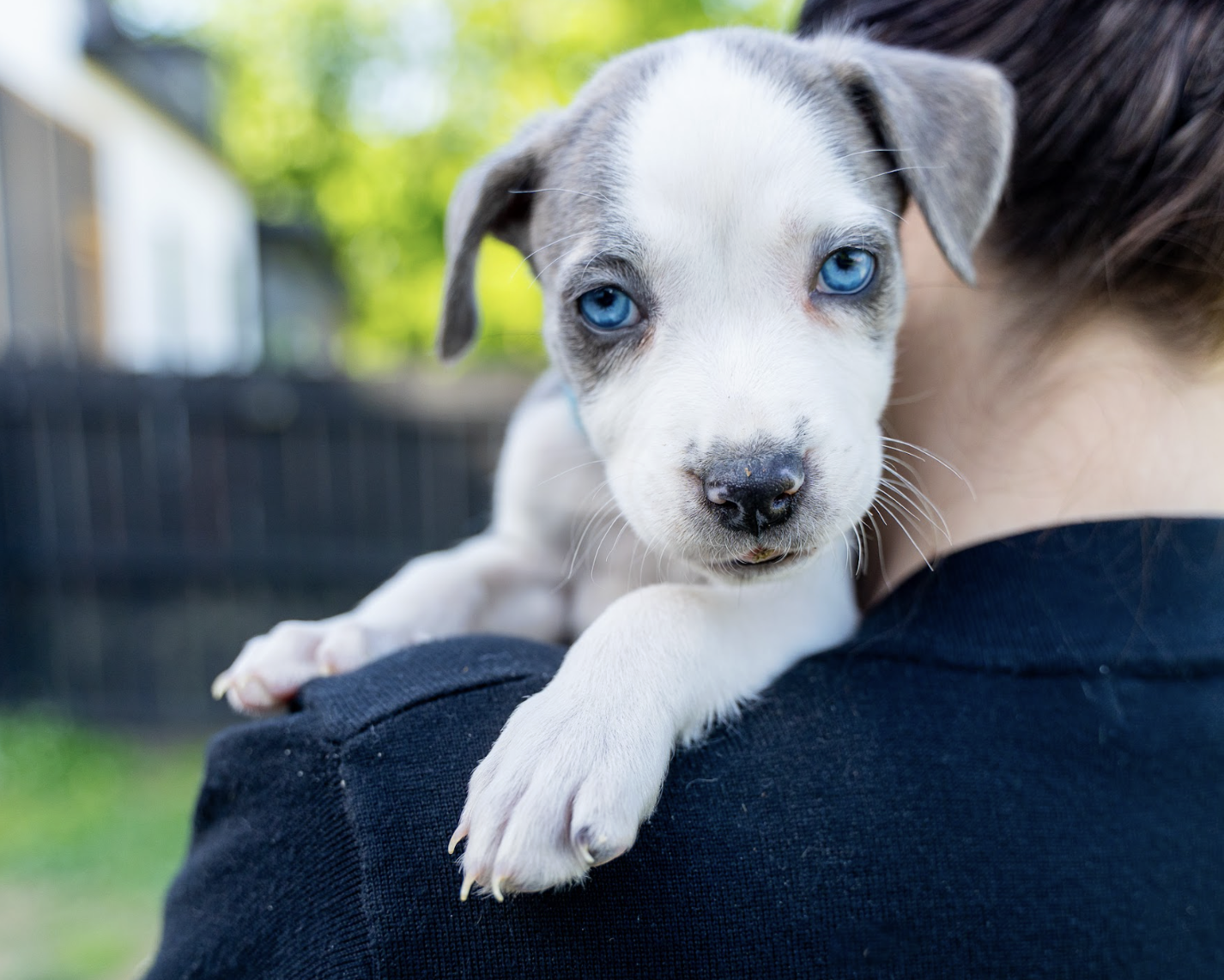 Screenshot 2026-04-23 at 2.18.54 PM.png