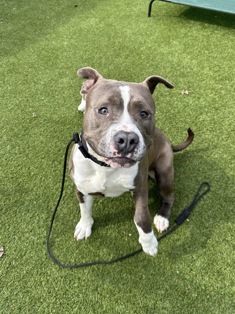 Screenshot 2026-02-12 at 2.14.10 PM.png