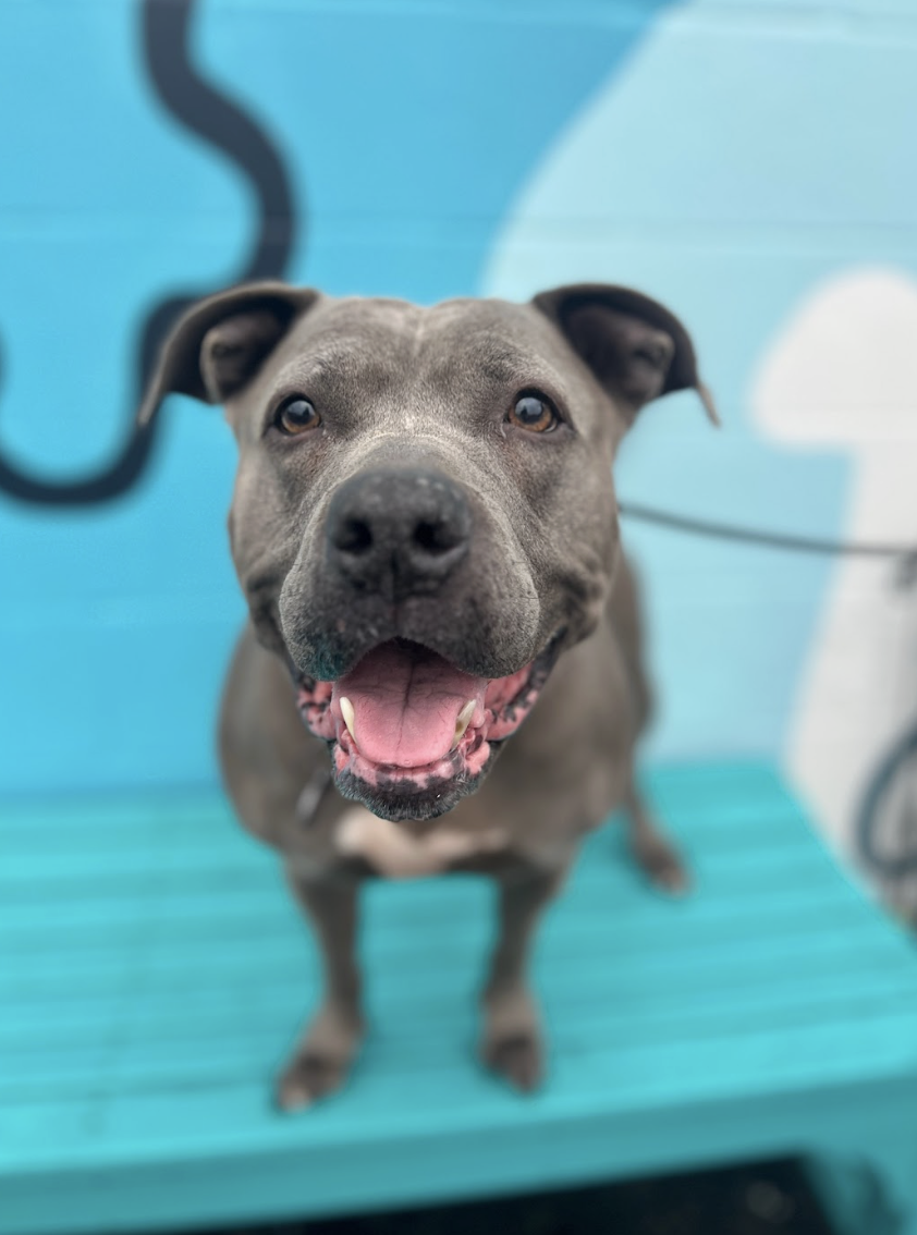 Screenshot 2026-01-15 at 1.37.38 PM.png