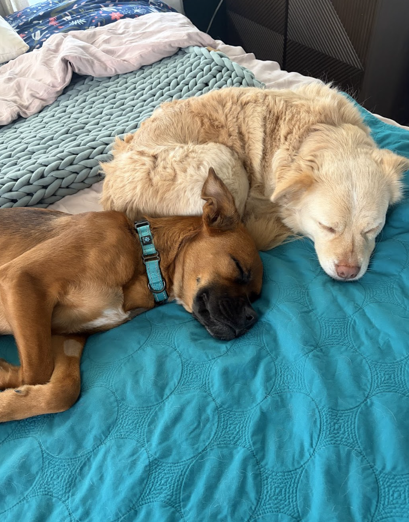 Screenshot 2026-04-22 at 4.05.03 PM.png