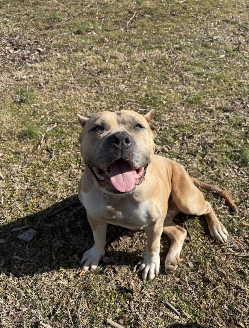 Screenshot 2026-02-27 at 2.36.23 PM.png