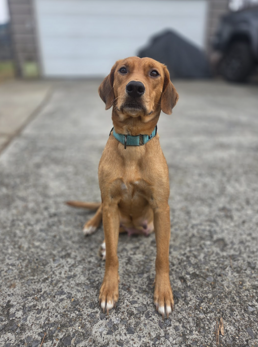 Screenshot 2026-01-14 at 6.56.49 PM.png