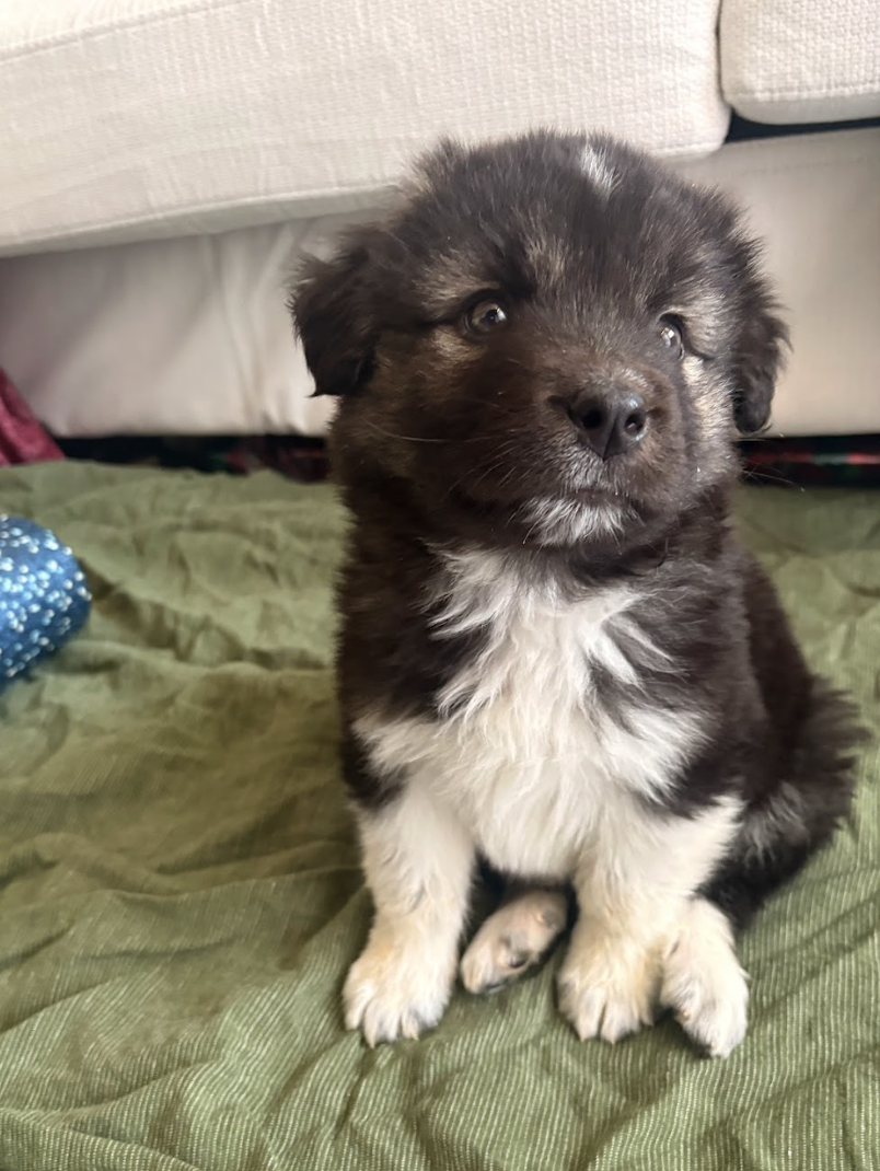 Screenshot 2026-04-13 at 2.40.44 PM.png