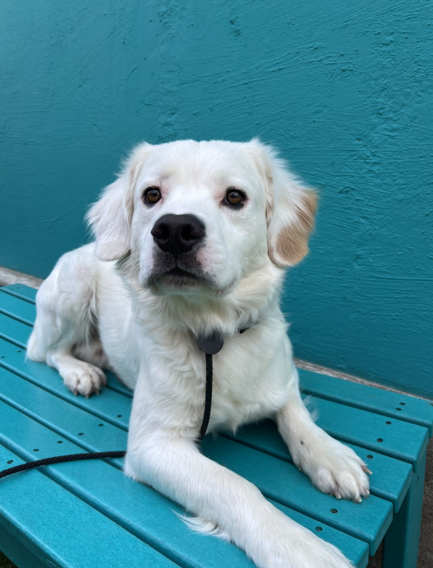 Screenshot 2026-03-26 at 2.47.36 PM.png