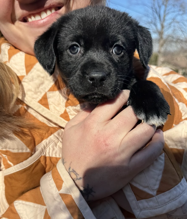 Screenshot 2026-02-13 at 4.35.54 PM.png