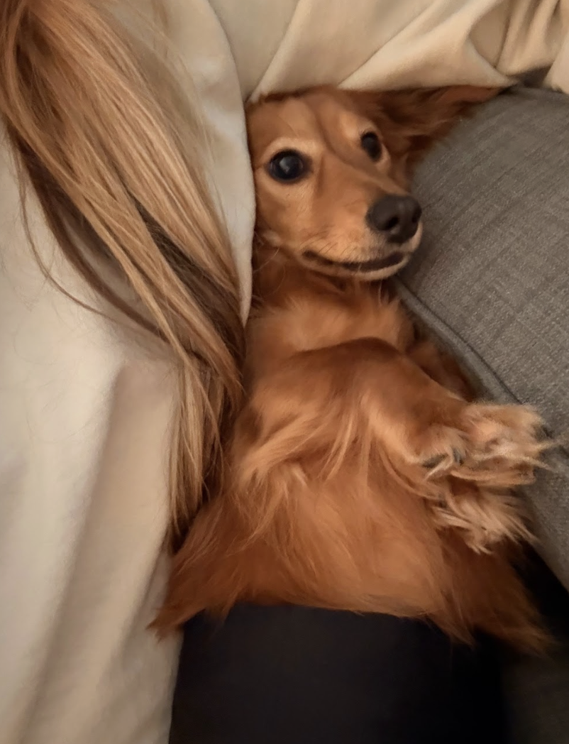 Screenshot 2026-01-20 at 4.59.07 PM.png