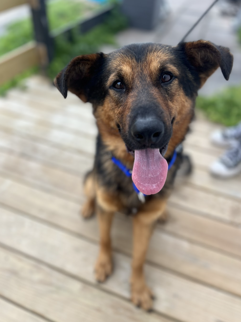 Screenshot 2026-03-26 at 2.24.15 PM.png