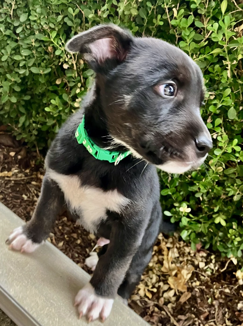 Screenshot 2026-01-15 at 7.46.07 PM.png