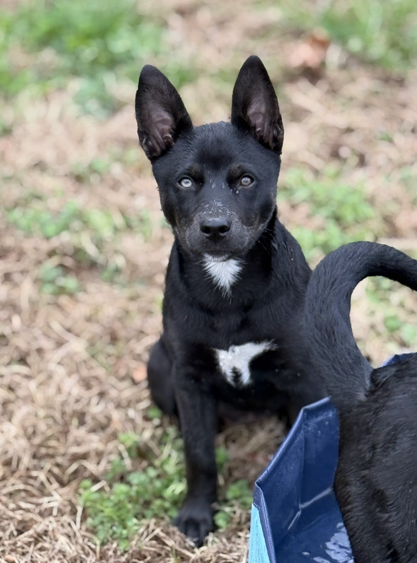 Screenshot 2026-03-12 at 3.33.28 PM.png