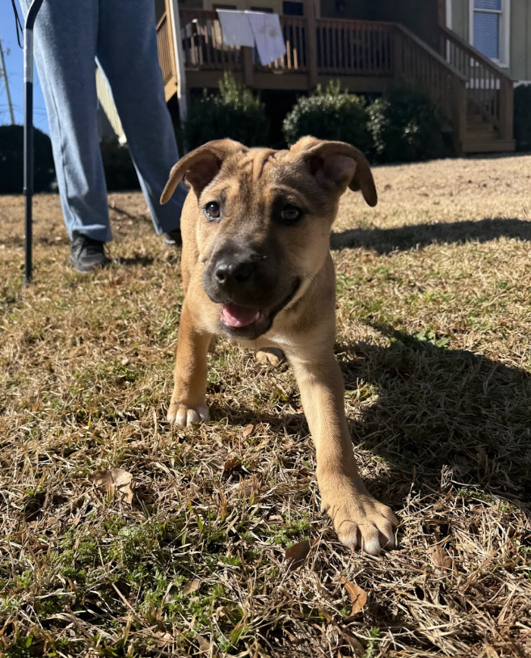 Screenshot 2026-02-20 at 4.08.28 PM.png