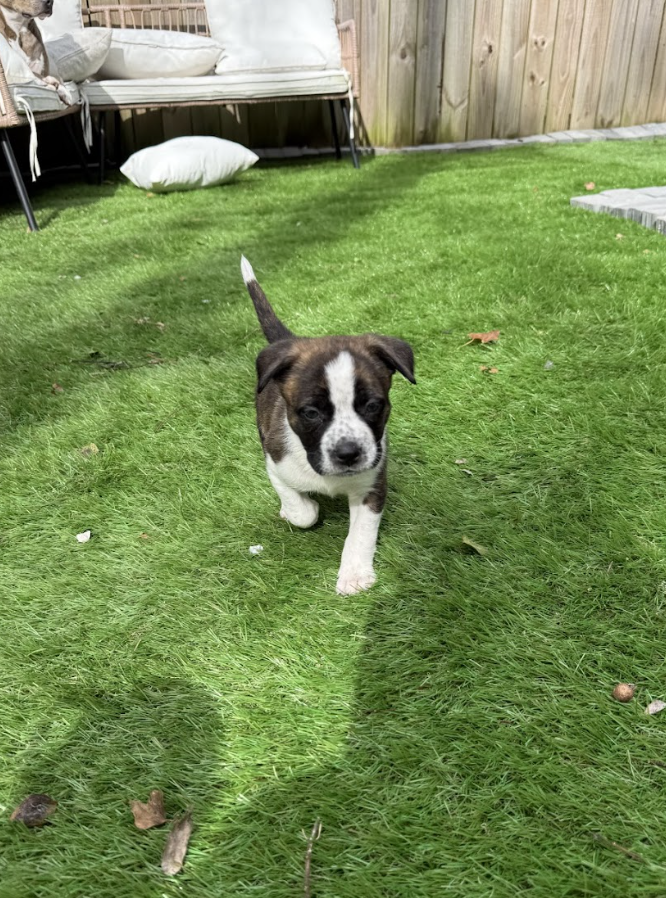 Screenshot 2026-03-27 at 7.57.58 PM.png