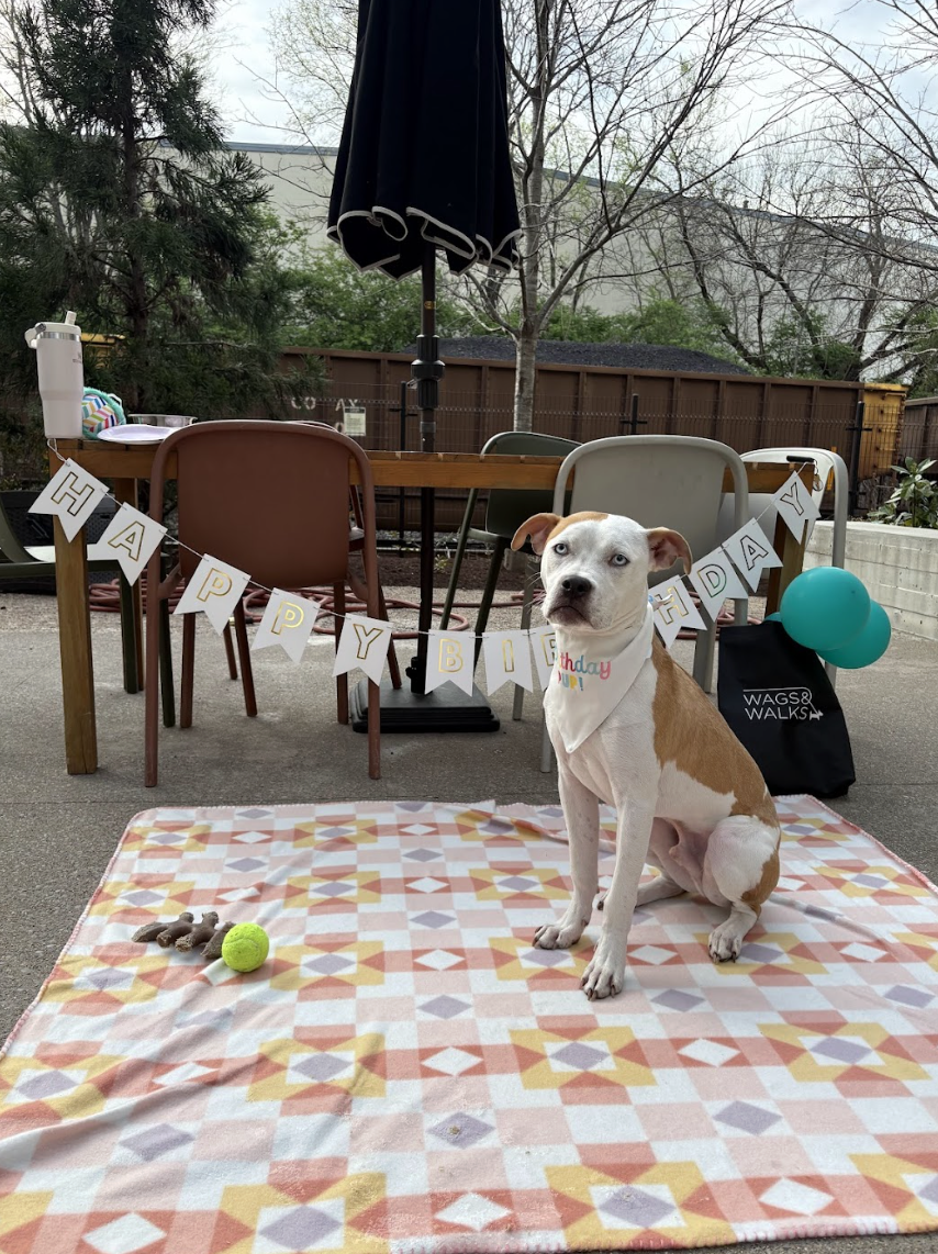 Screenshot 2026-04-22 at 4.19.48 PM.png