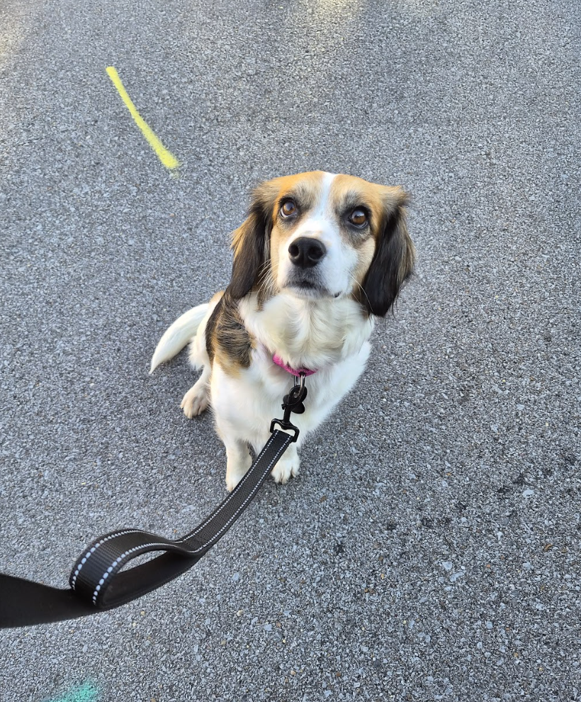 Screenshot 2026-03-17 at 12.02.16 PM.png