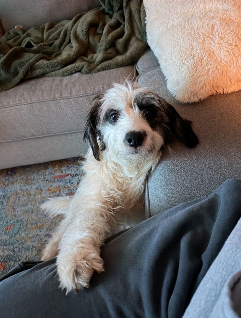 Screenshot 2026-02-28 at 4.16.57 PM.png