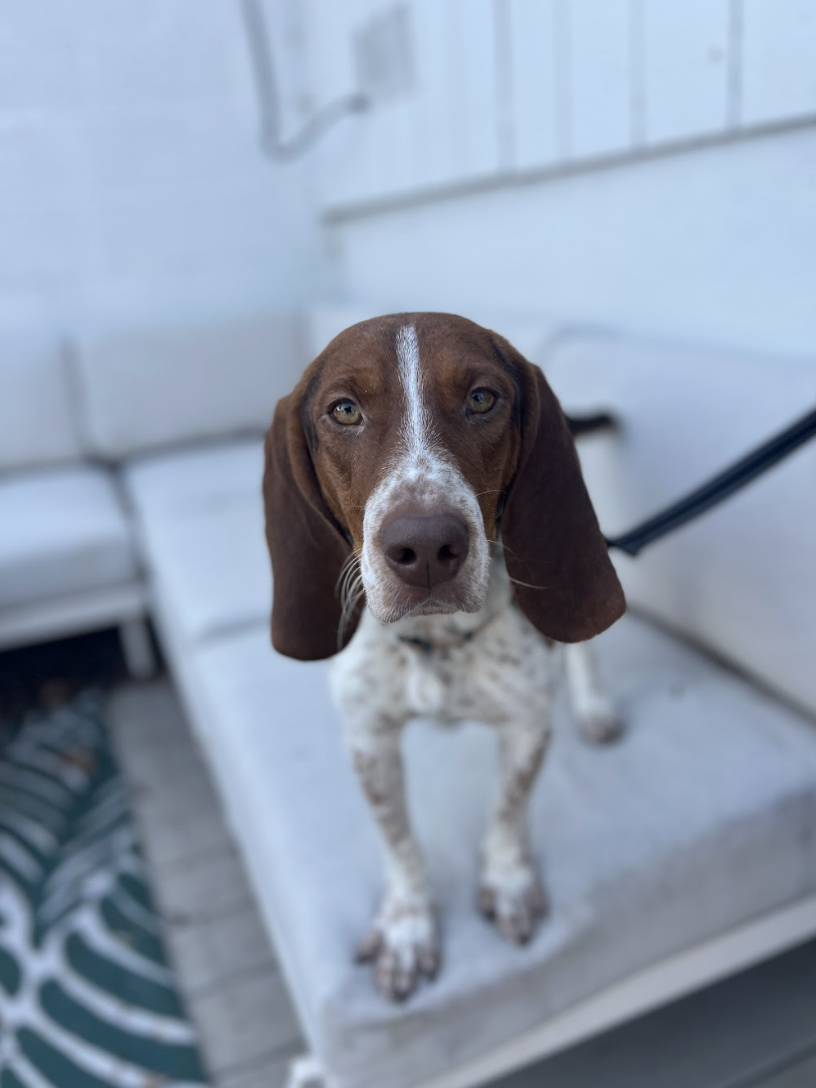 Screenshot 2026-01-08 at 1.56.26 PM.png