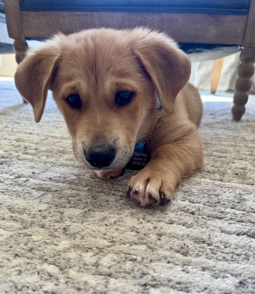 Screenshot 2026-04-08 at 1.39.34 PM.png