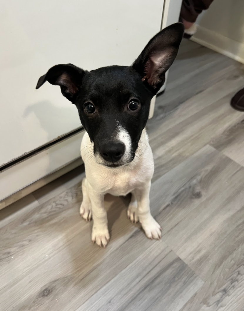 Screenshot 2026-01-14 at 1.23.46 PM.png