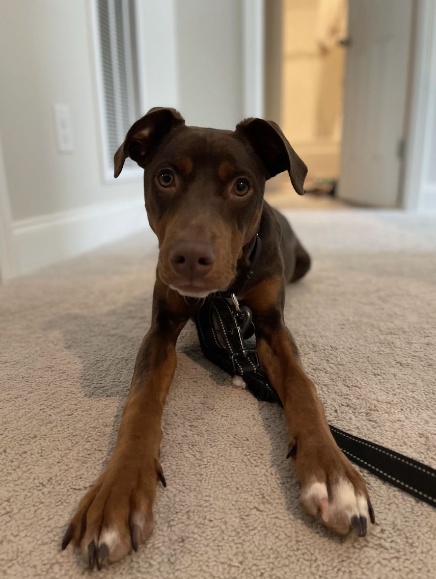 Screenshot 2026-02-13 at 1.36.25 PM.png