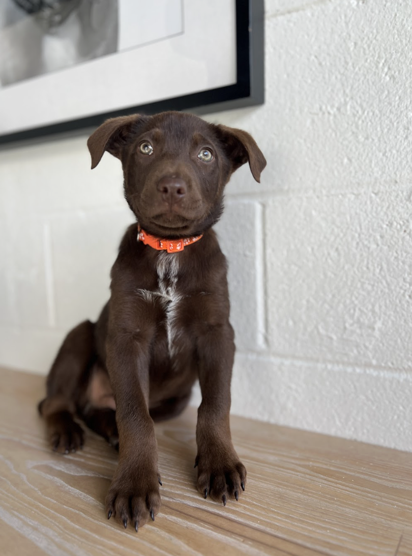 Screenshot 2026-01-15 at 3.27.19 PM.png