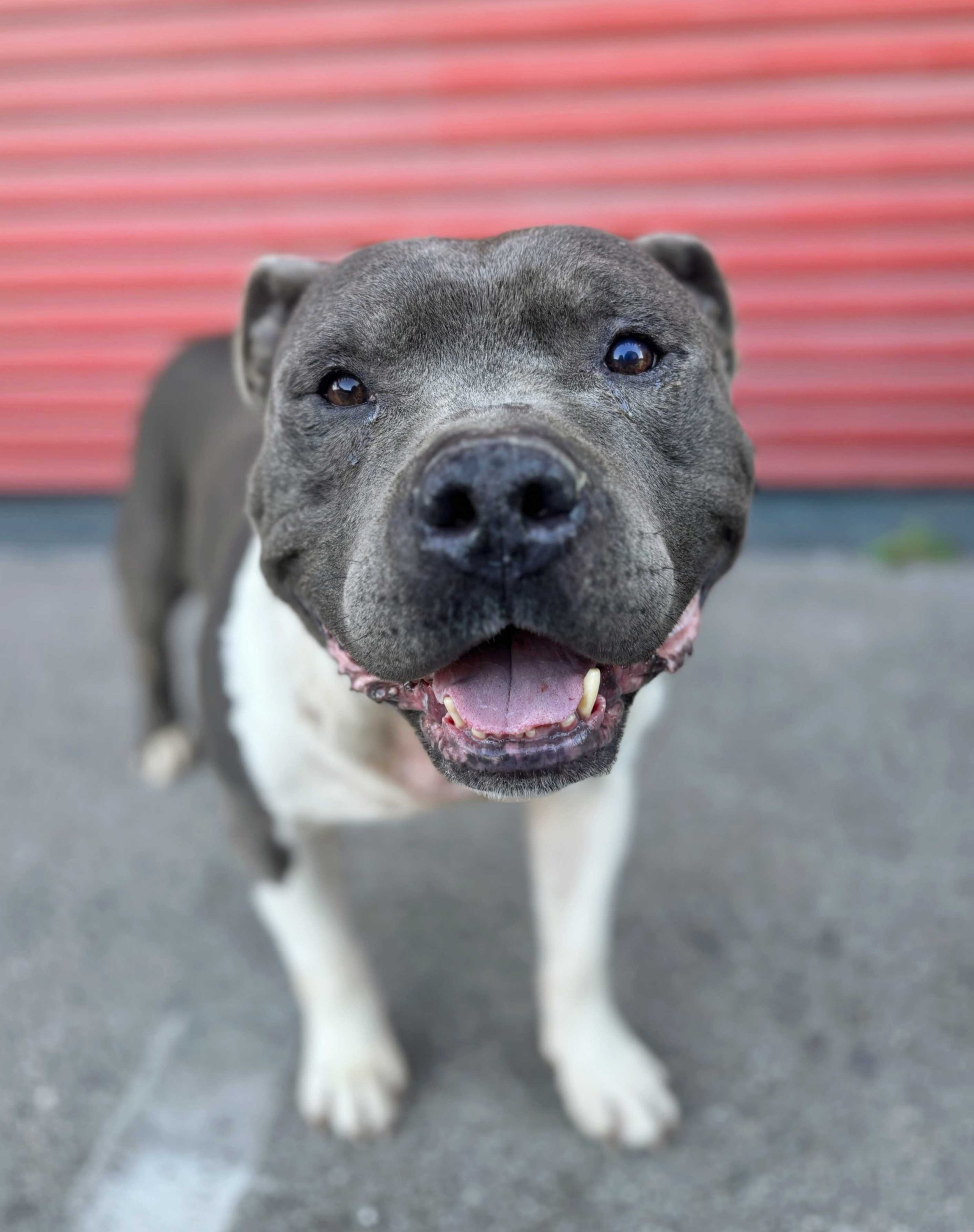 20260305_183431 (1).jpg