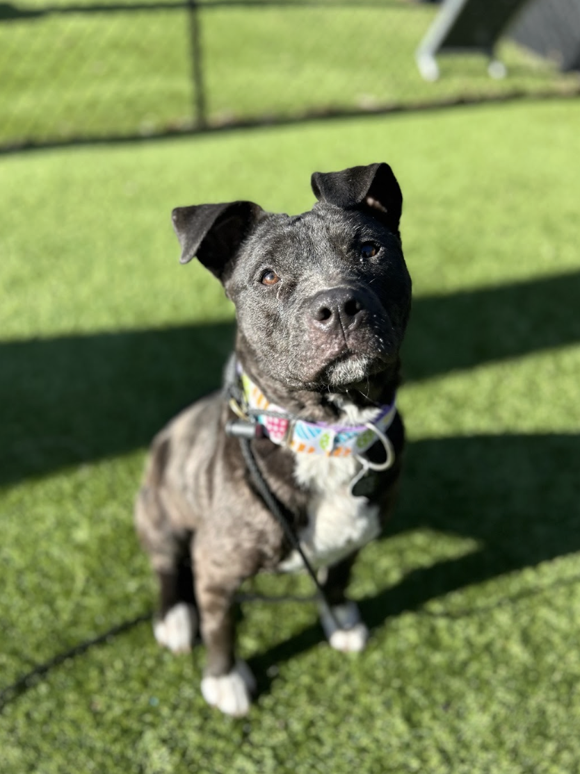 Screenshot 2026-02-12 at 3.28.50 PM.png