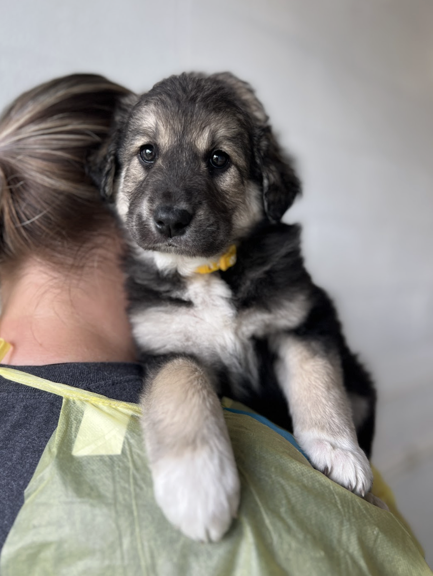 Screenshot 2026-04-16 at 4.19.18 PM.png