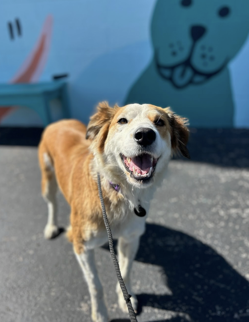 Screenshot 2026-03-14 at 5.01.35 PM.png