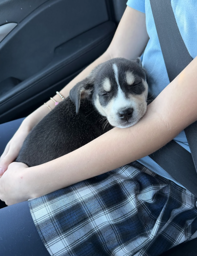 Screenshot 2026-01-15 at 7.47.47 PM.png