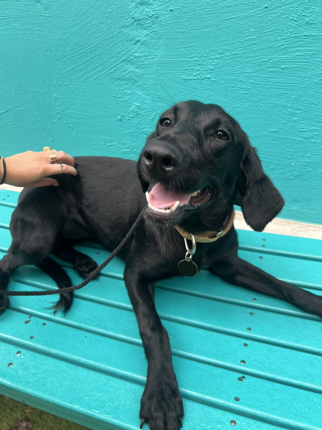 Screenshot 2025-11-04 at 3.35.10 PM.png