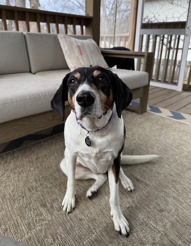 Screen Shot 2026-02-26 at 4.06.24 PM.png