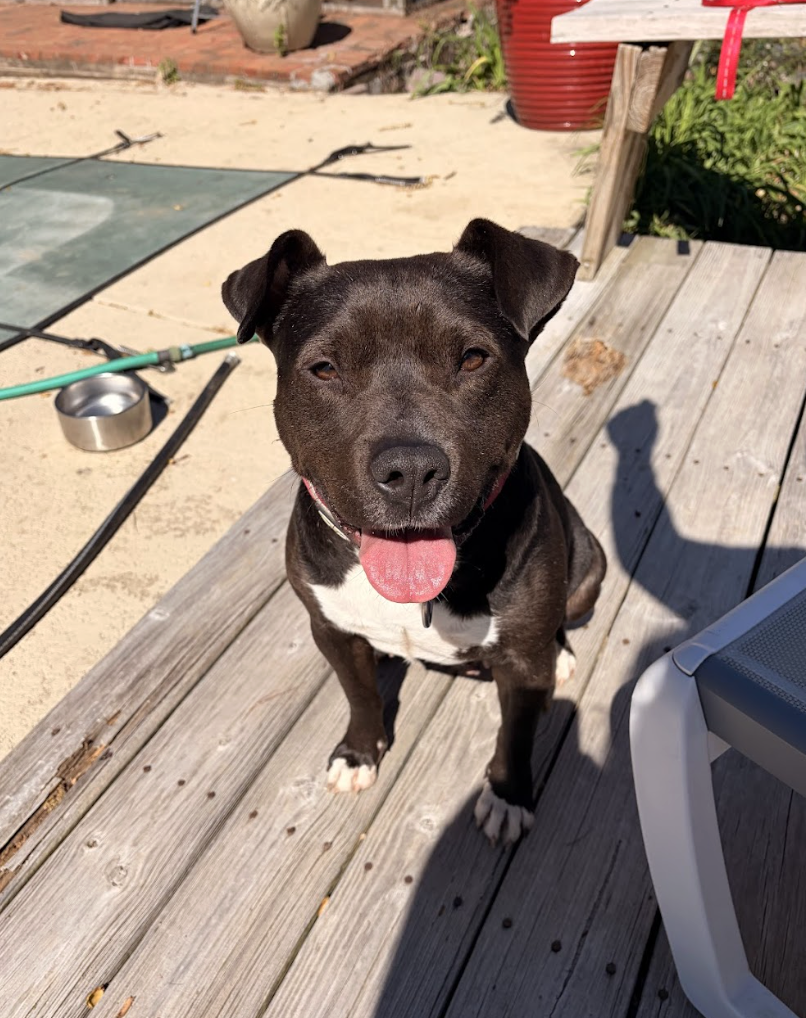 Screenshot 2026-04-22 at 5.53.36 PM.png