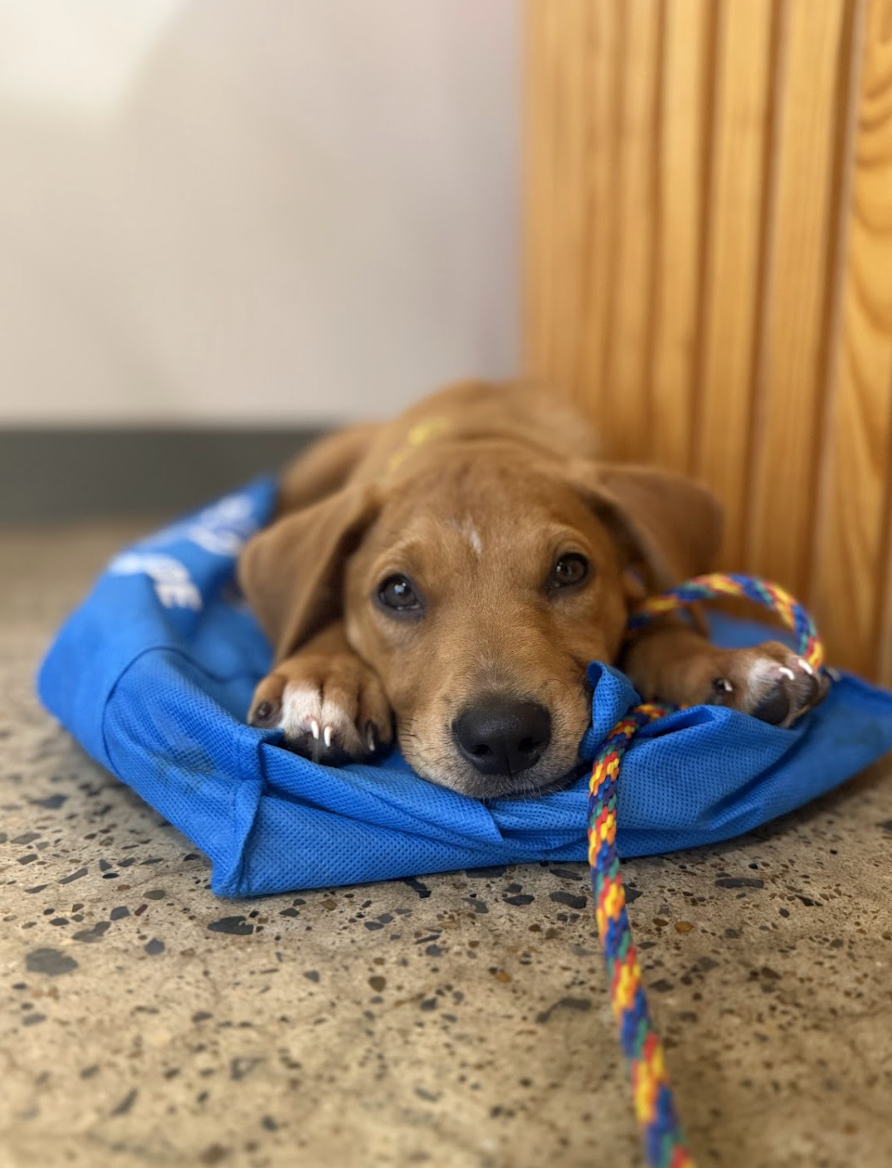 Screenshot 2026-01-14 at 9.30.51 PM.png