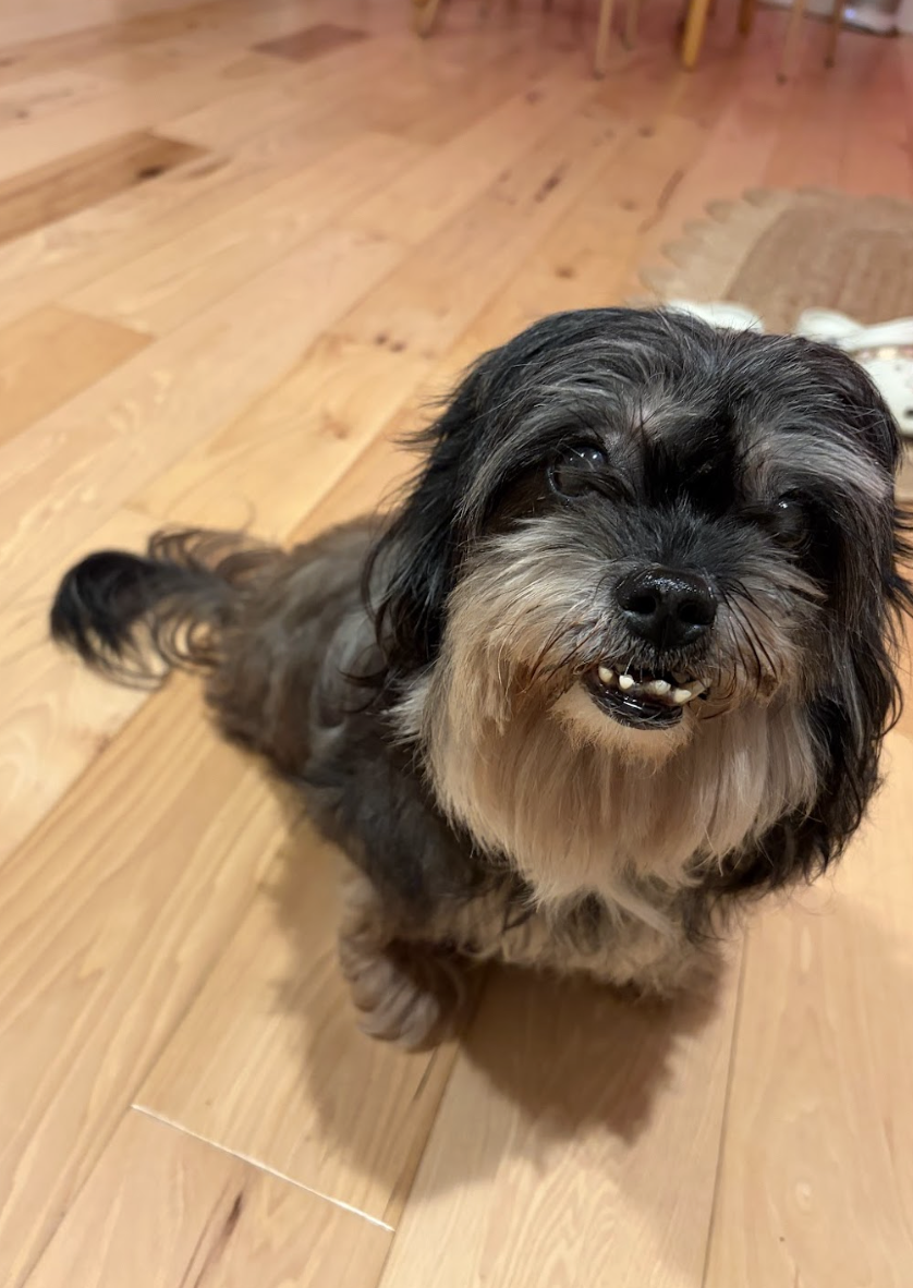 Screenshot 2026-01-31 at 3.09.51 PM.png