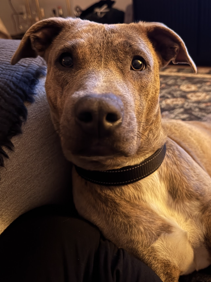 Screenshot 2026-04-08 at 3.15.24 PM.png