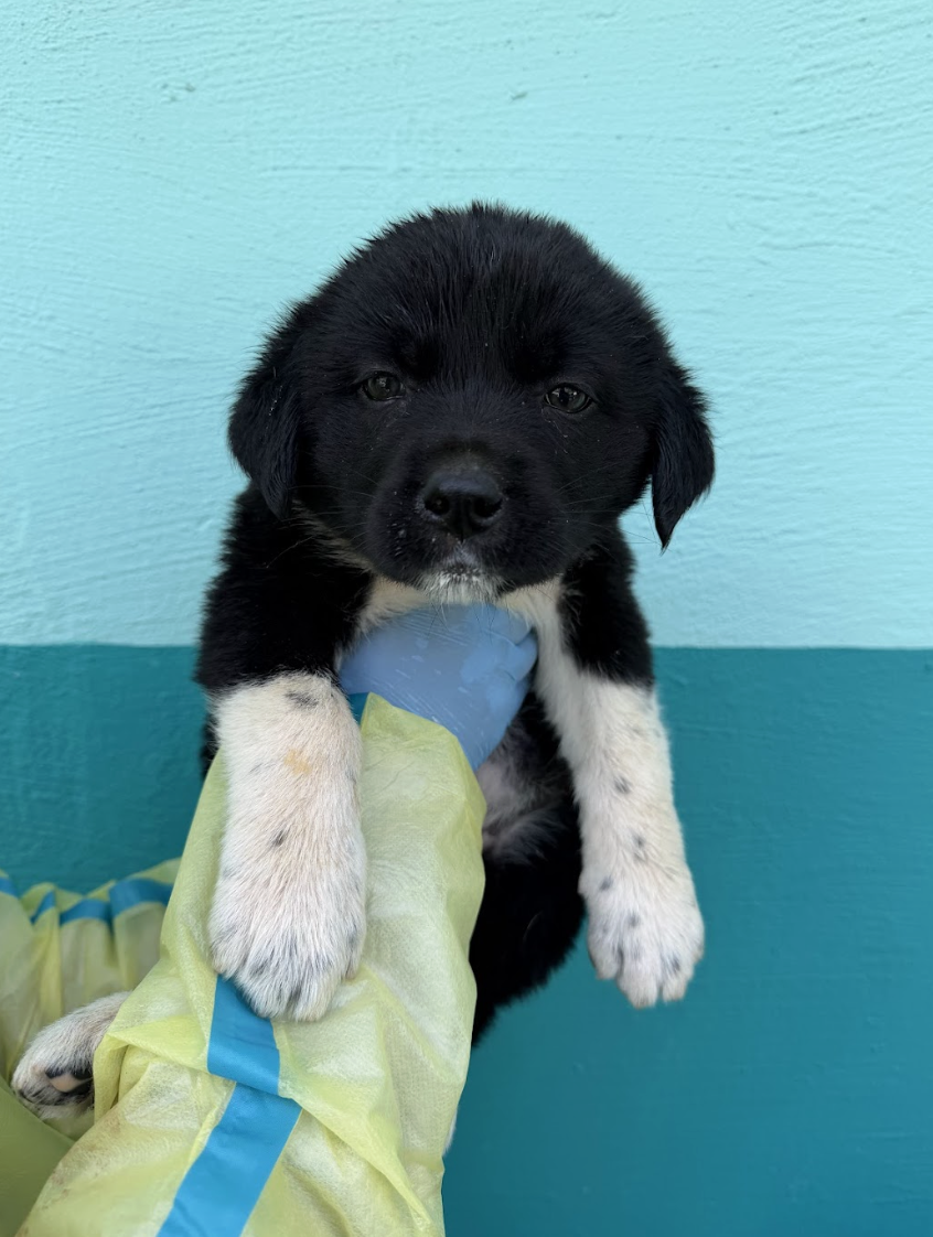 Screenshot 2026-04-13 at 2.39.43 PM.png