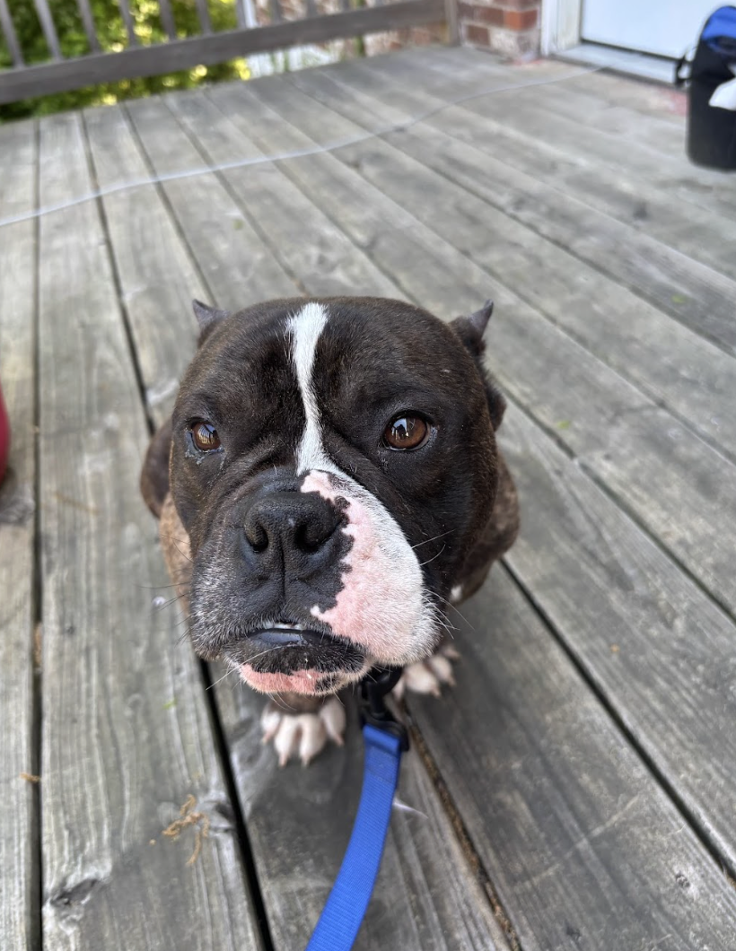 Screenshot 2026-04-22 at 2.48.11 PM.png