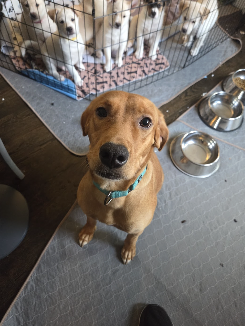 Screenshot 2026-01-14 at 6.56.55 PM.png