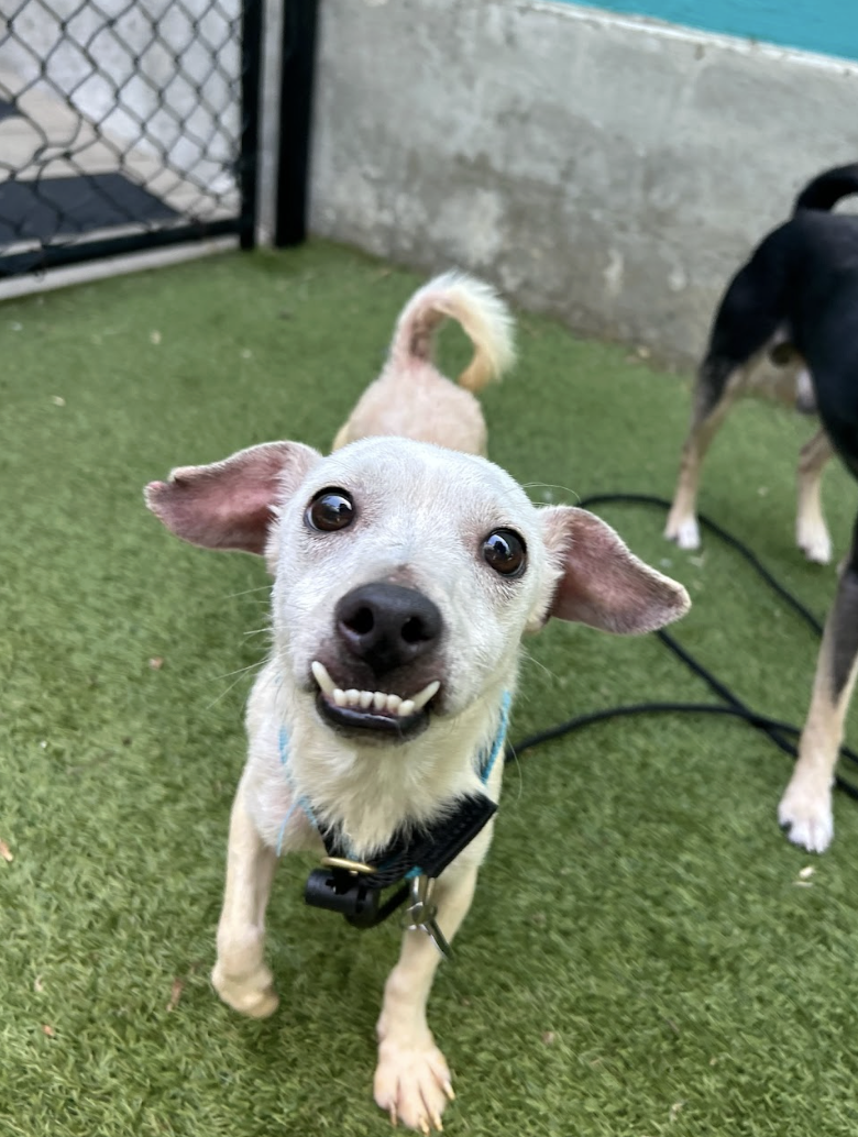 Screenshot 2026-04-21 at 1.54.44 PM.png