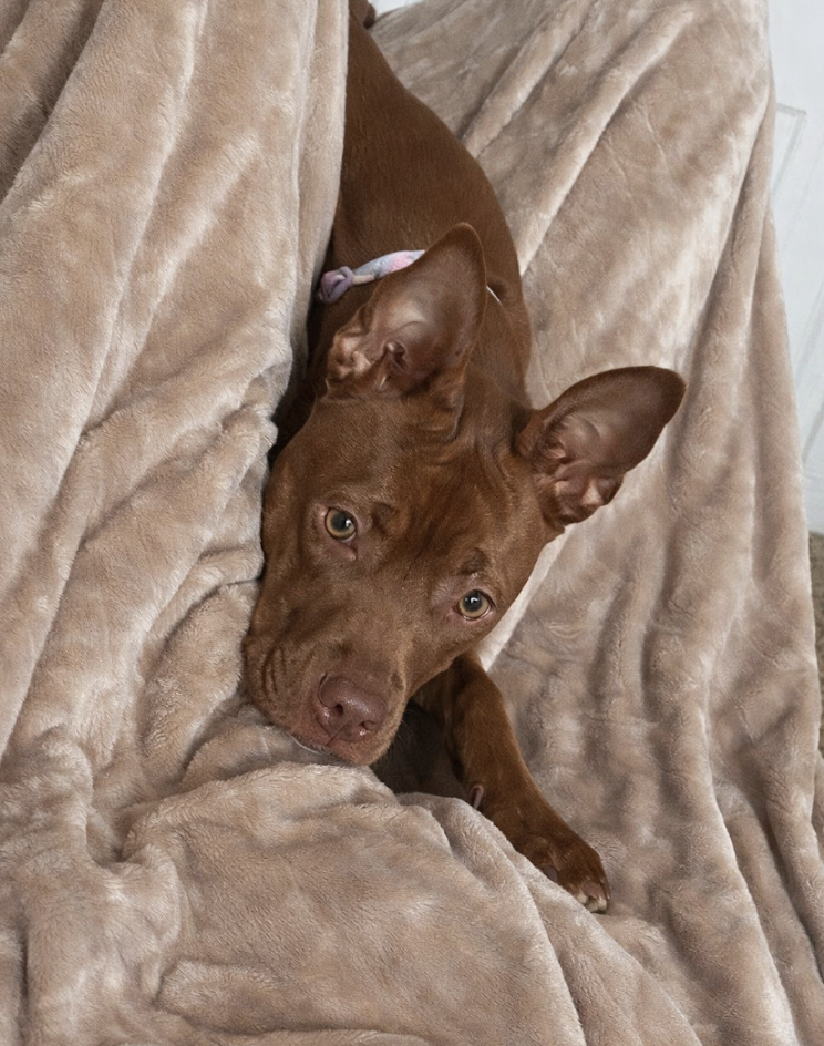 Screenshot 2026-02-20 at 2.53.07 PM.png