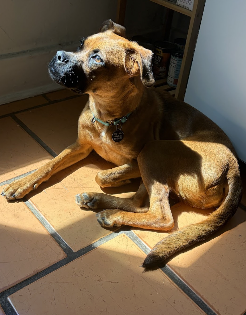 Screenshot 2026-04-22 at 4.04.16 PM.png